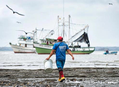 Fishery Industry